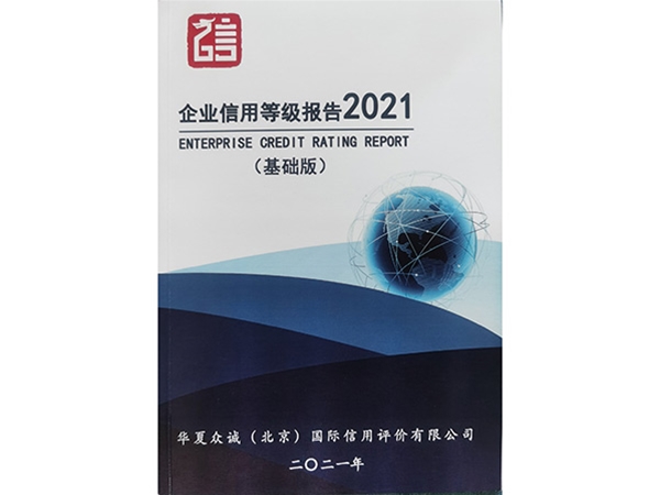 企业信用等级报告2021